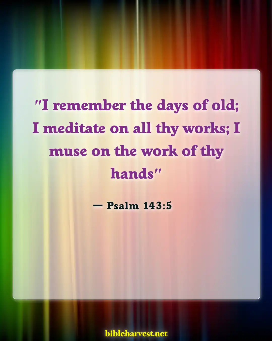 Bible Verses About Silence And Solitude (Psalm 143:5)