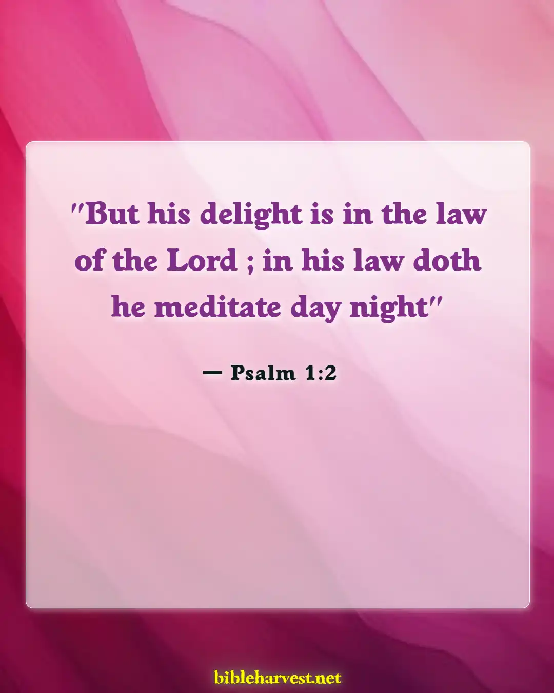 Bible Verses About Be A Warrior Not A Worrier (Psalm 1:2)