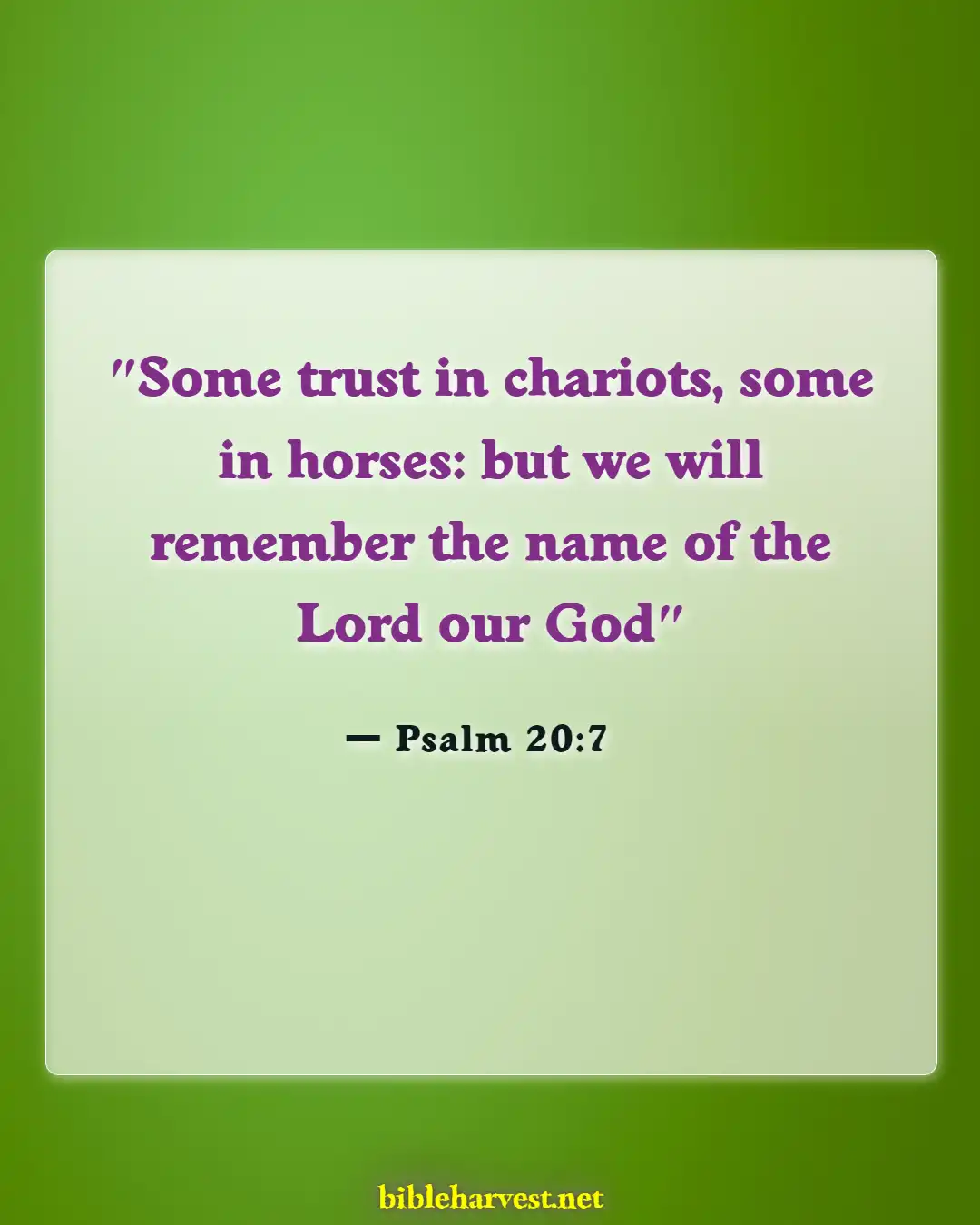 Bible Verses About Accomplishments (Psalm 20:7)