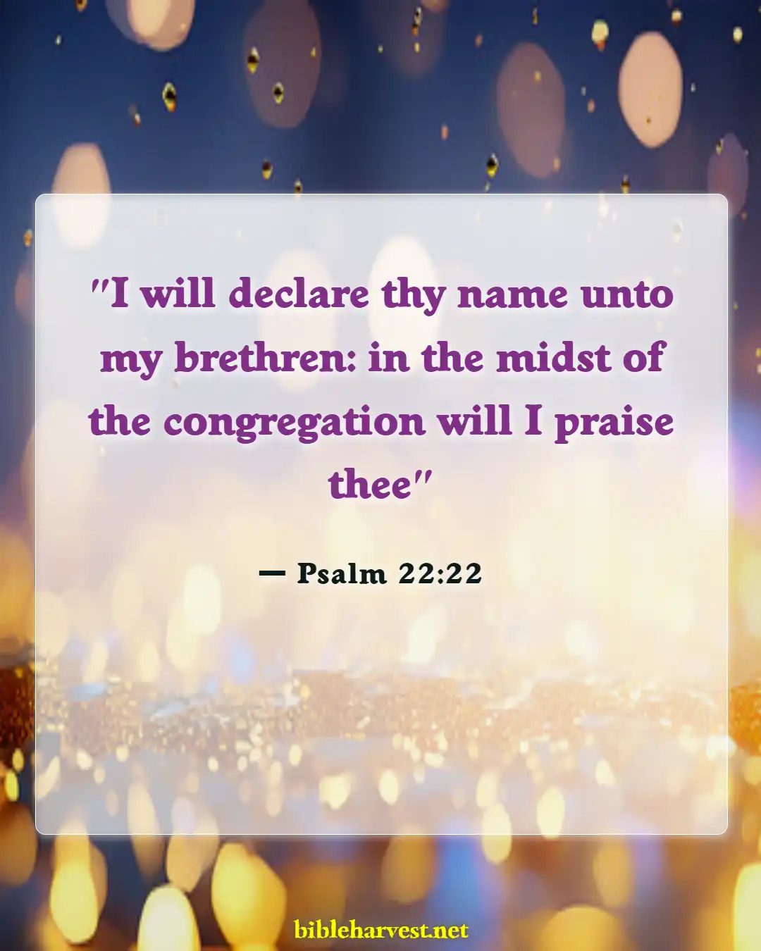 Bible Verses About Praise And Worships (Psalm 22:22)
