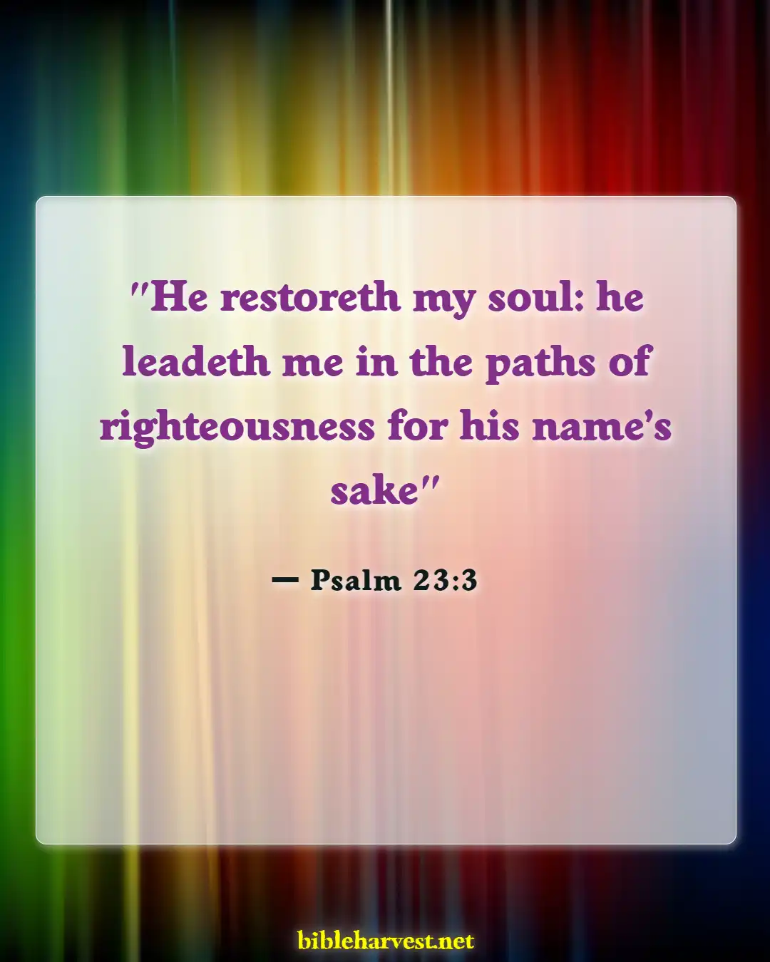 Bible Verses About Adventure (Psalm 23:3)