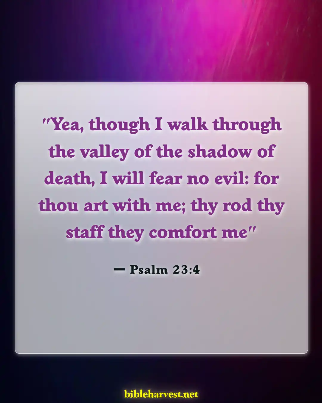 Bible Verses About Anxiety (Psalm 23:4)