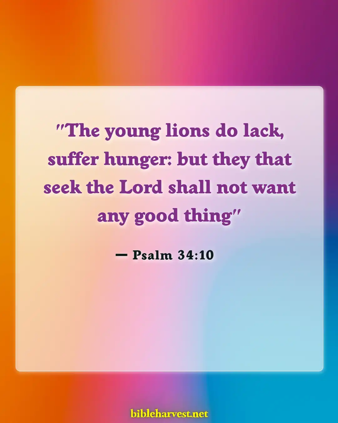 Bible Verses About Seeking God (Psalm 34:10)