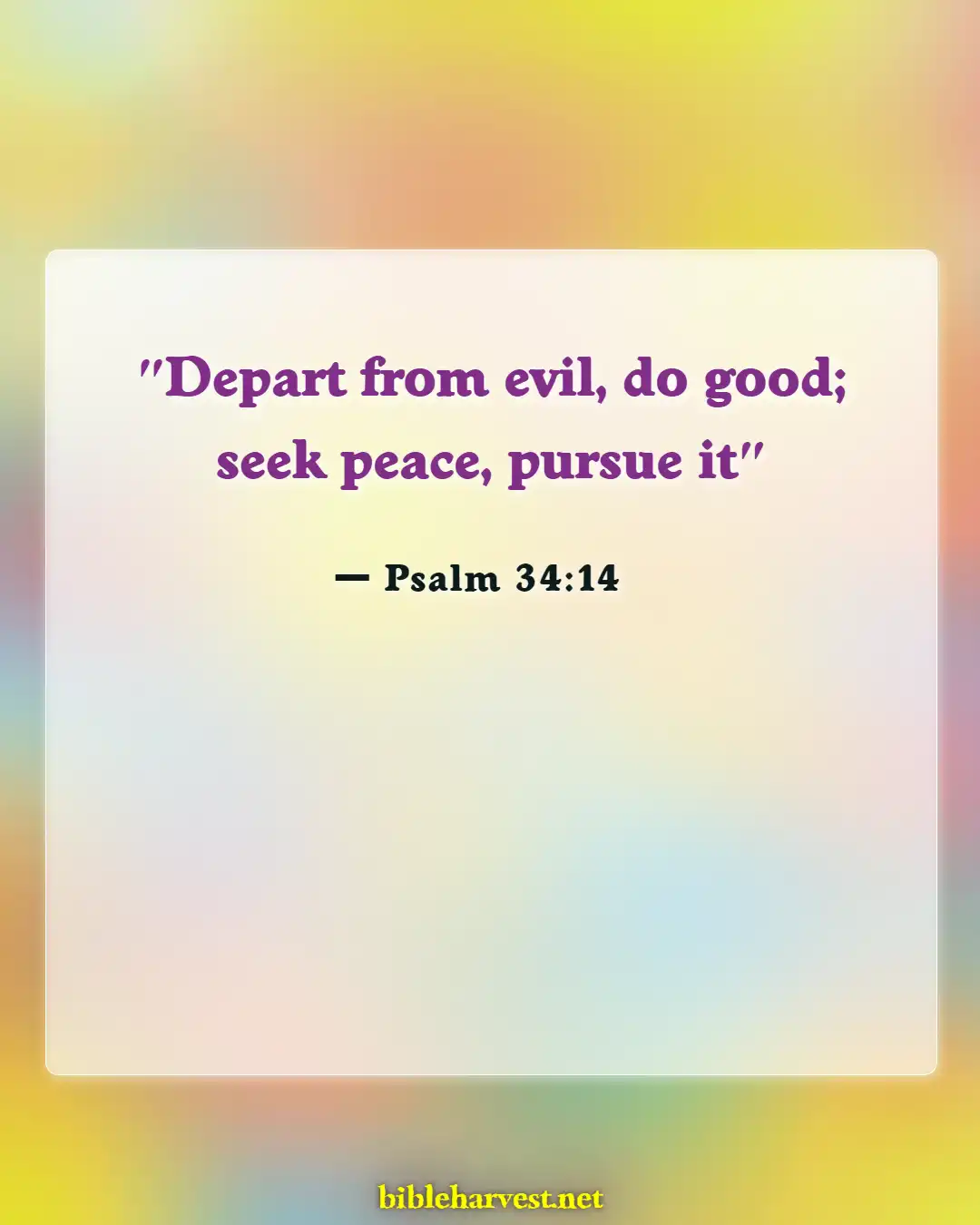 Bible Verses About Peace In The Presence Of God (Psalm 34:14)