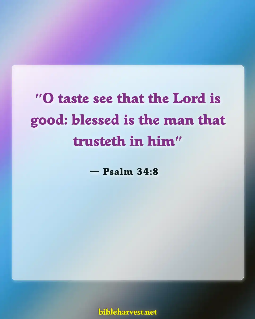 Bible Verses About God Is Good All The Times (Psalm 34:8)
