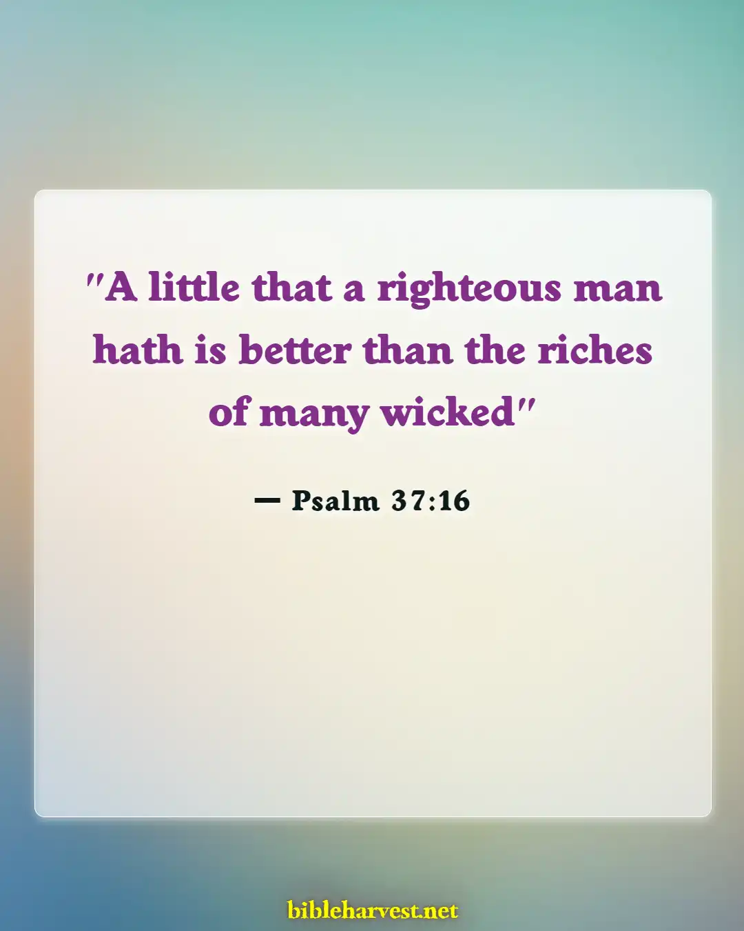 Bible Verses About Greed And Selfishness (Psalm 37:16)