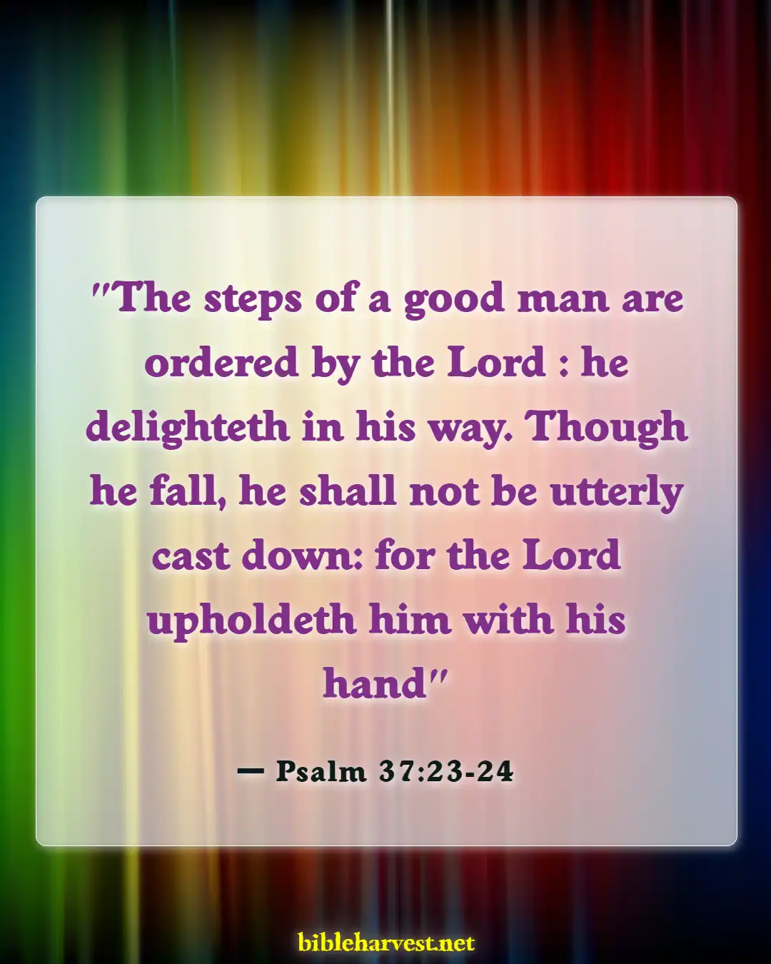 Bible Verses About God Being In Control (Psalm 37:23-24)