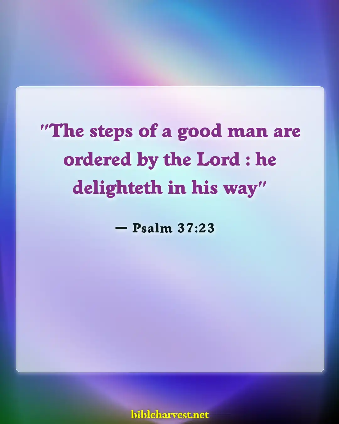 Bible Verses About Hope For The Future (Psalm 37:23)