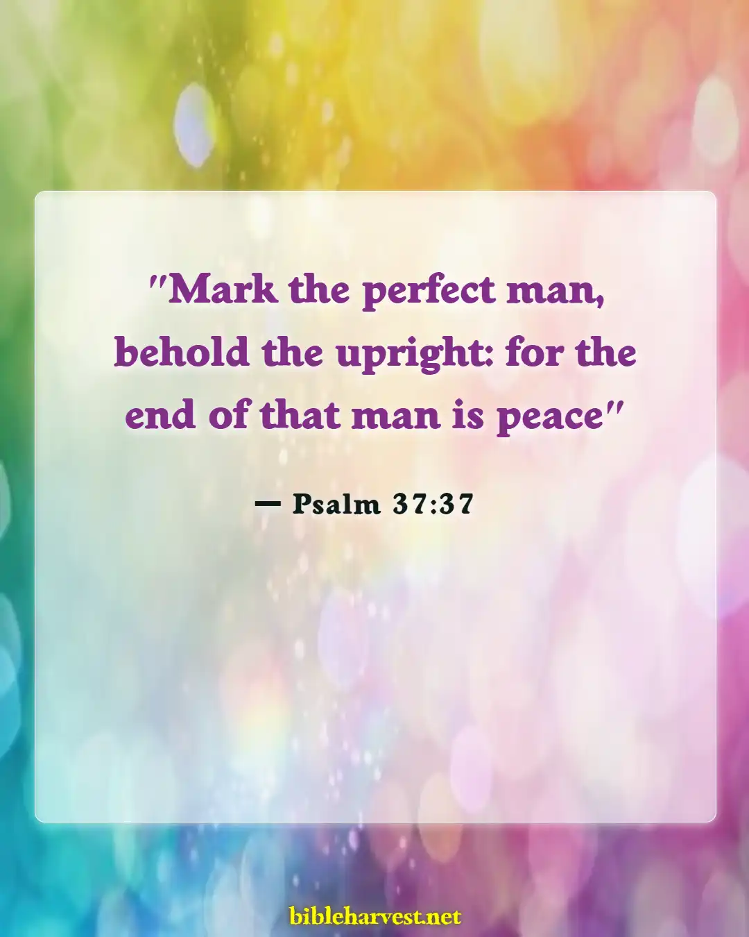 Bible Verses About Hope (Psalm 37:37)