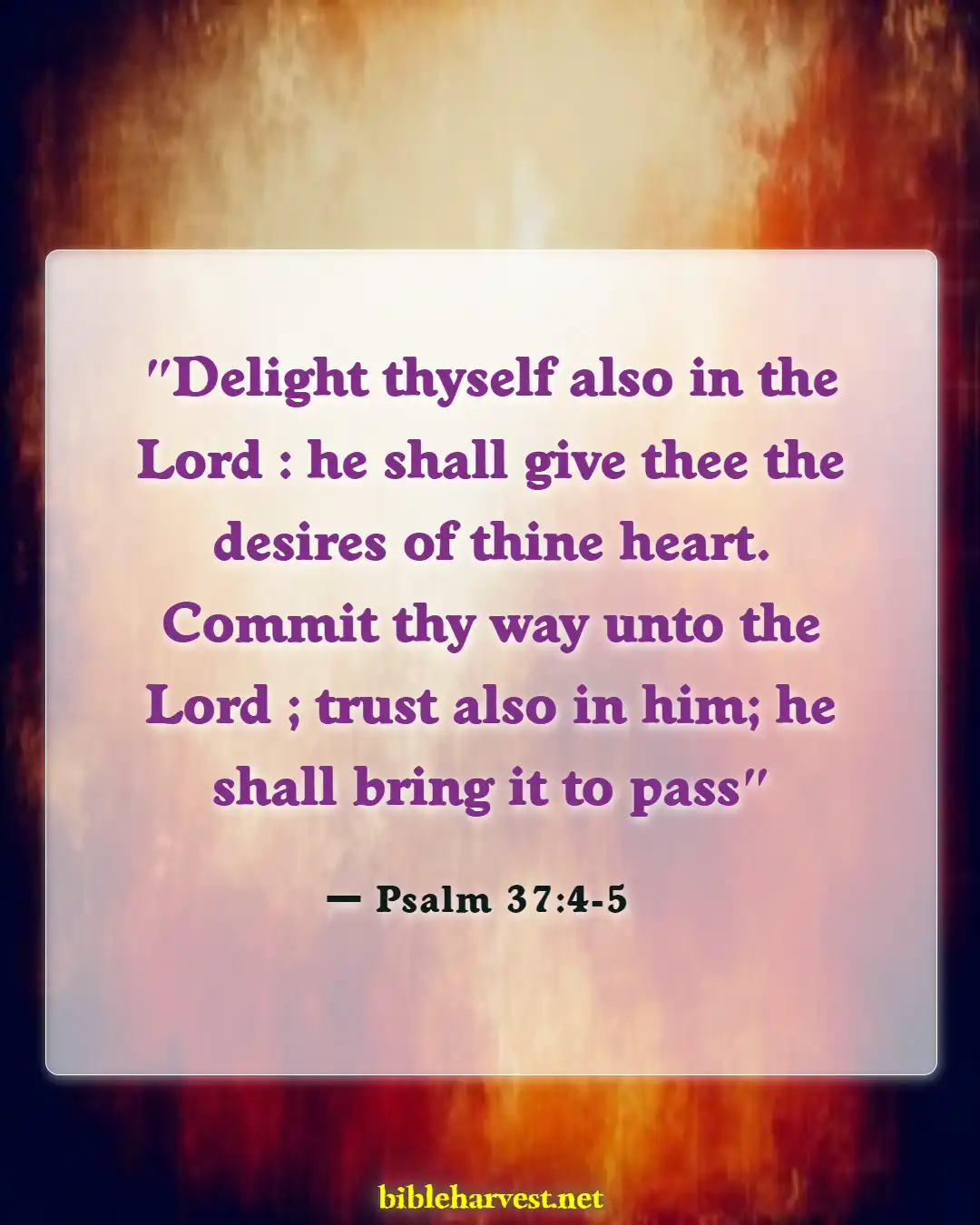 Bible Verses About Singles Who Want To Get Married (Psalm 37:4-5)