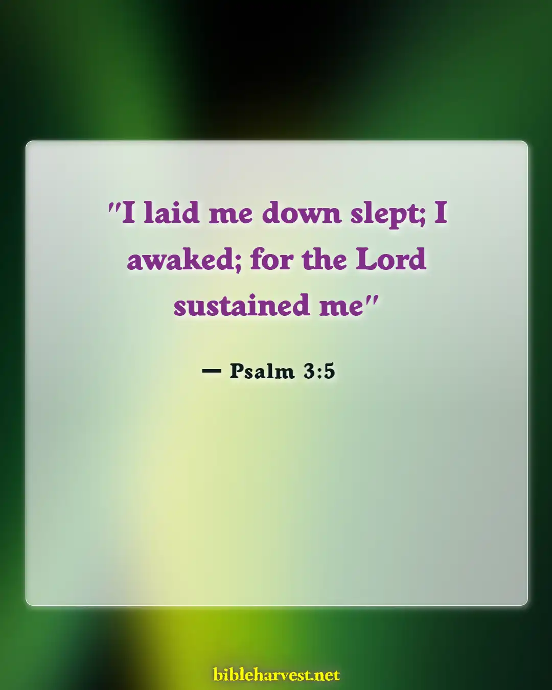 Bible Verses About Sleeping Well (Psalm 3:5)