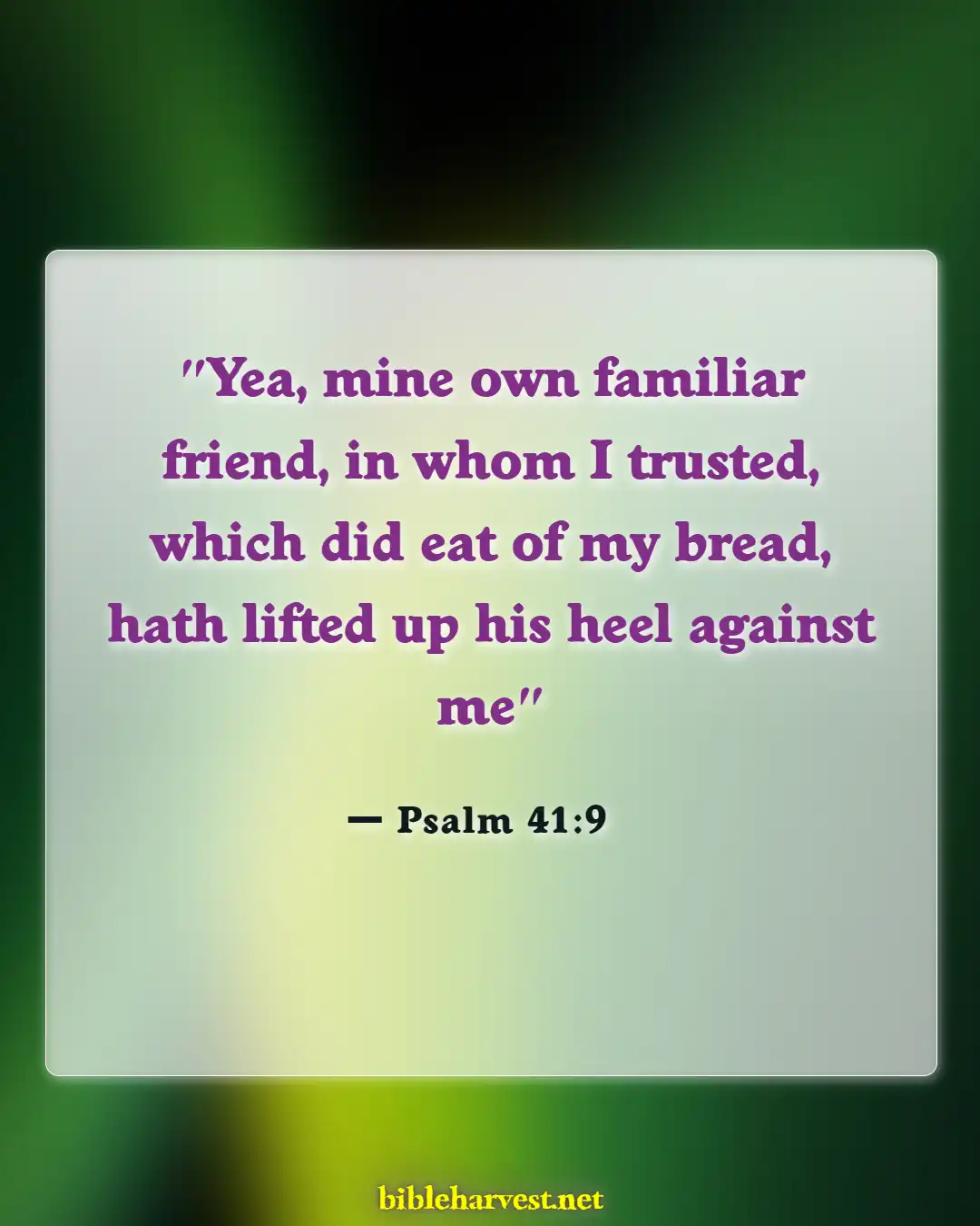 Bible Verses About Betrayal (Psalm 41:9)