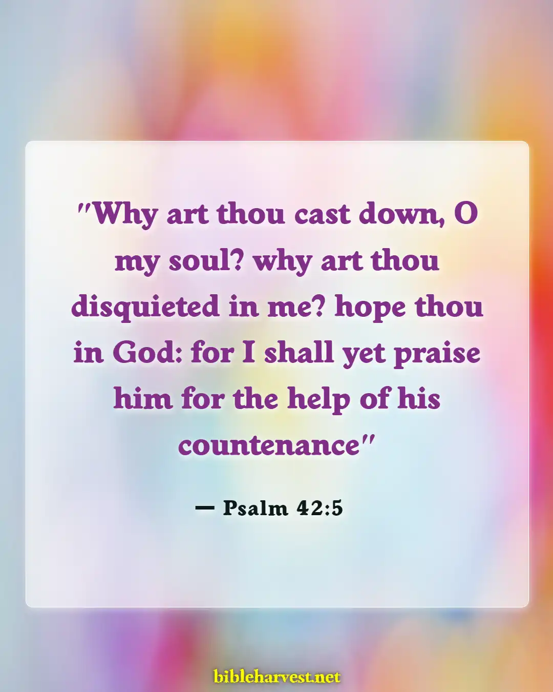 Bible Verses About Despair (Psalm 42:5)