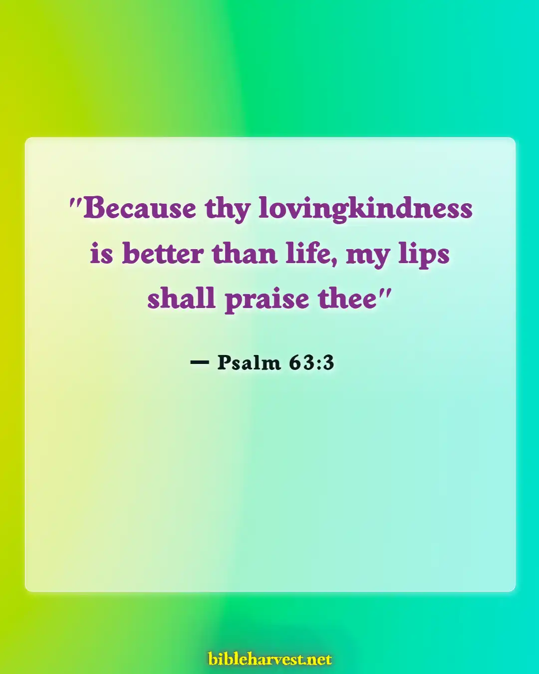 Bible Verses About Appreciating The Little Things In Life (Psalm 63:3)