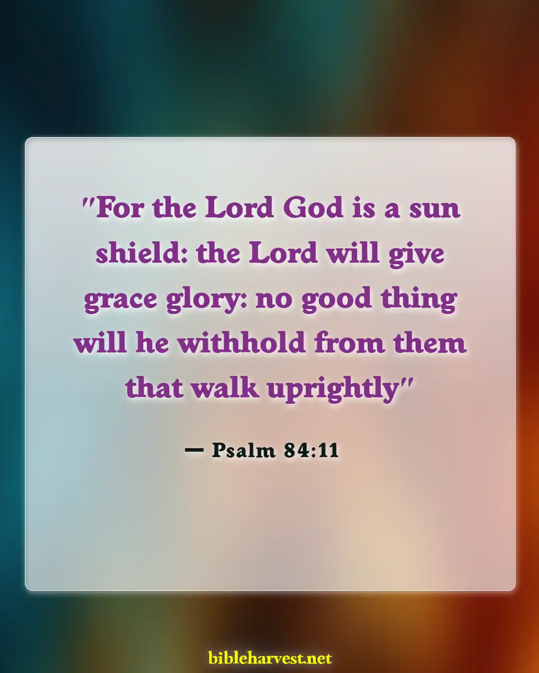 Bible Verses About Sun (Psalm 84:11)
