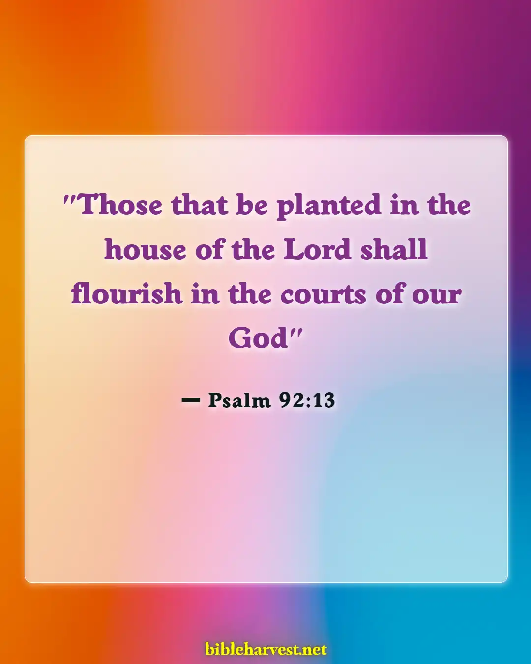 Bible Verses About Let Us Go To The House Of The Lord (Psalm 92:13)