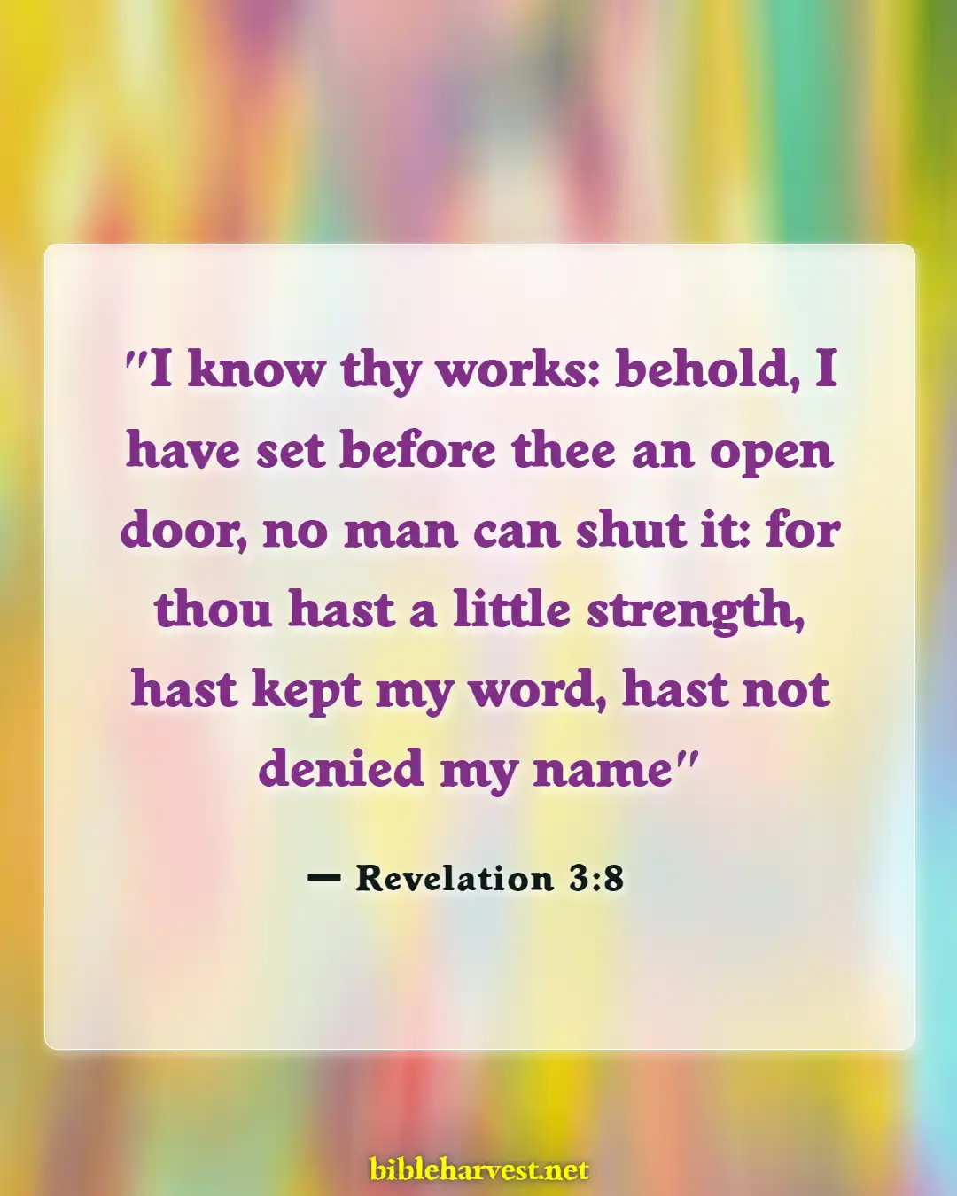 Bible Verses About God Will Make A Way (Revelation 3:8)