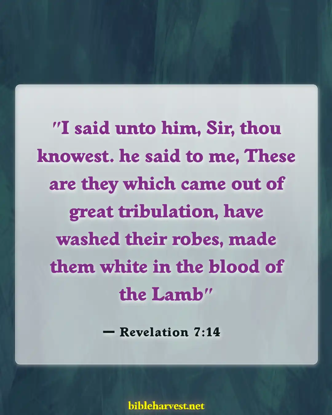 Bible Verses About Scariest Revelations (Revelation 7:14)