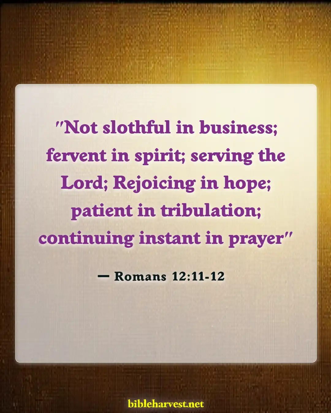 Bible Verses About Excitement (Romans 12:11-12)