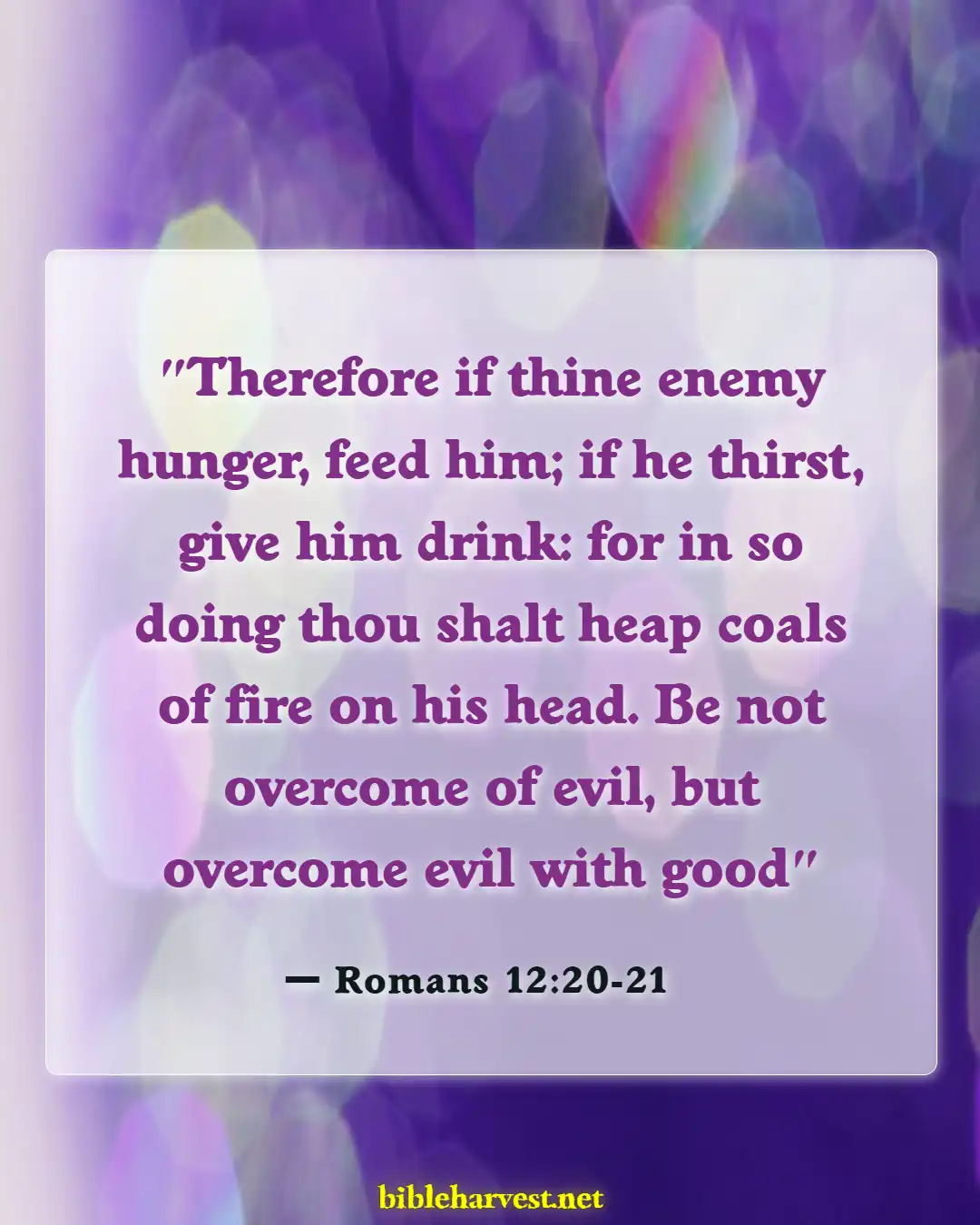 Bible Verses About Standing Up For Yourself (Romans 12:20-21)