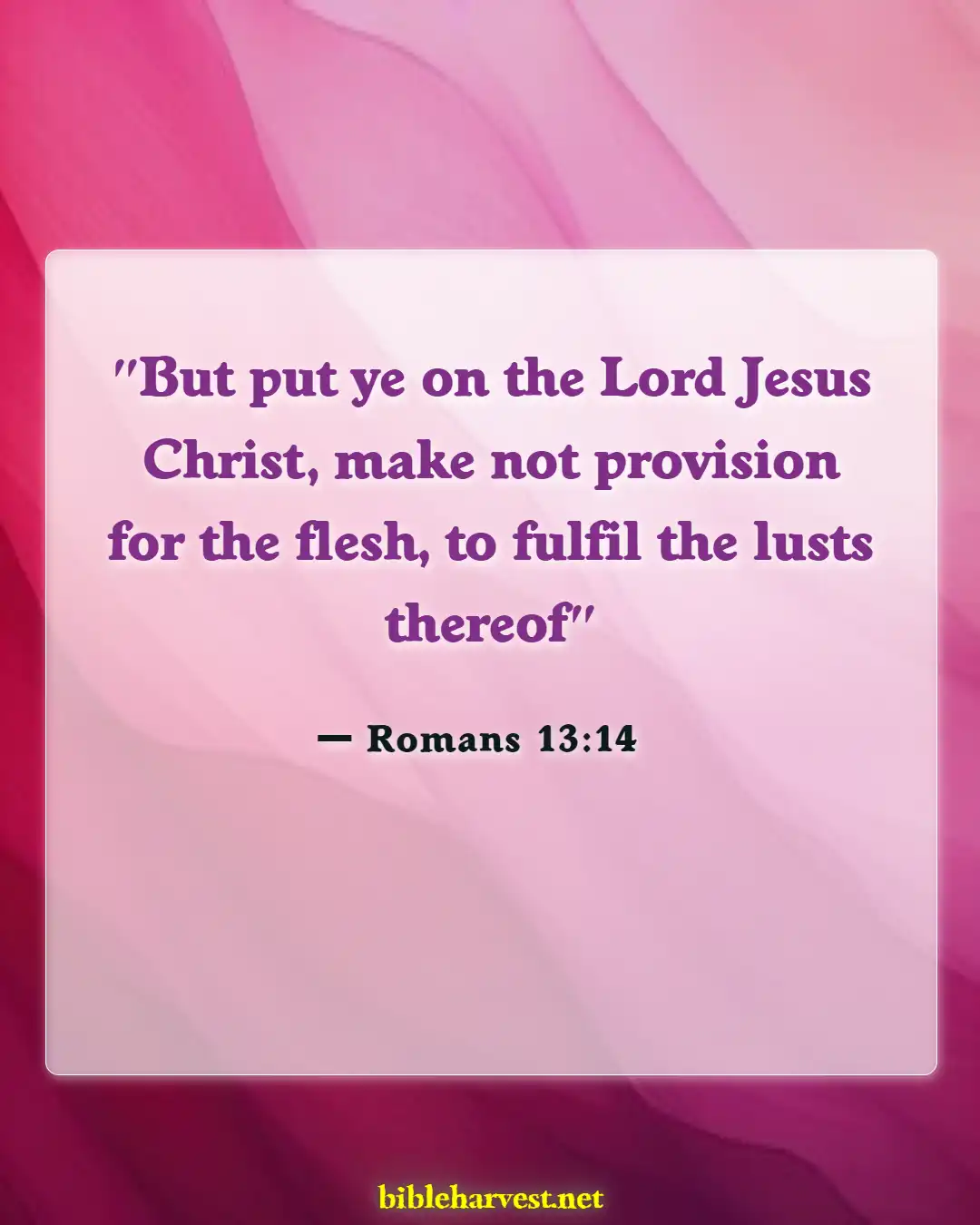 Bible Verses About Masterbation (Romans 13:14)