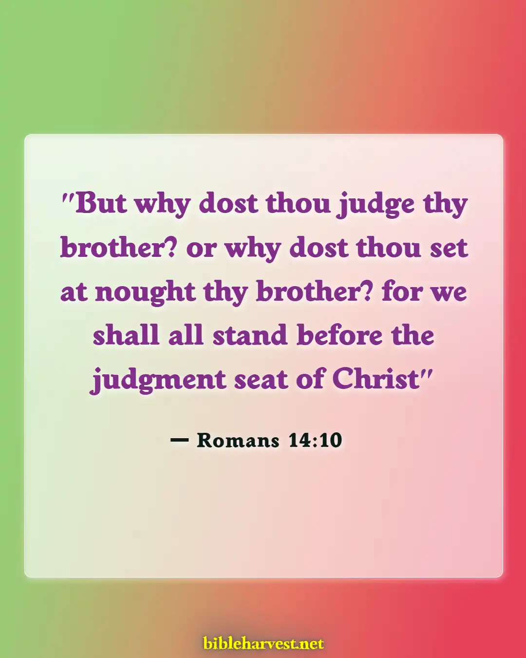 Bible Verses About Not Judging (Romans 14:10)
