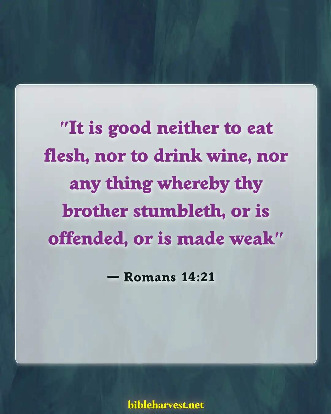 Bible Verses About Warning Drinking Wine And Alcohol (Romans 14:21)
