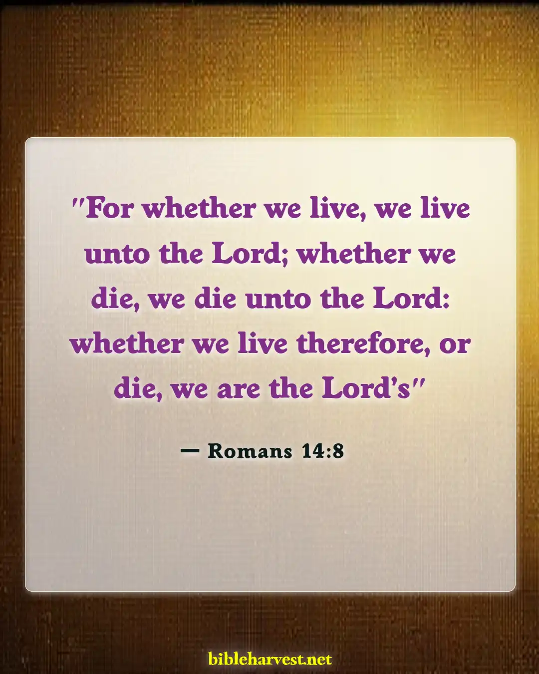 Bible Verses About Going To Heaven (Romans 14:8)