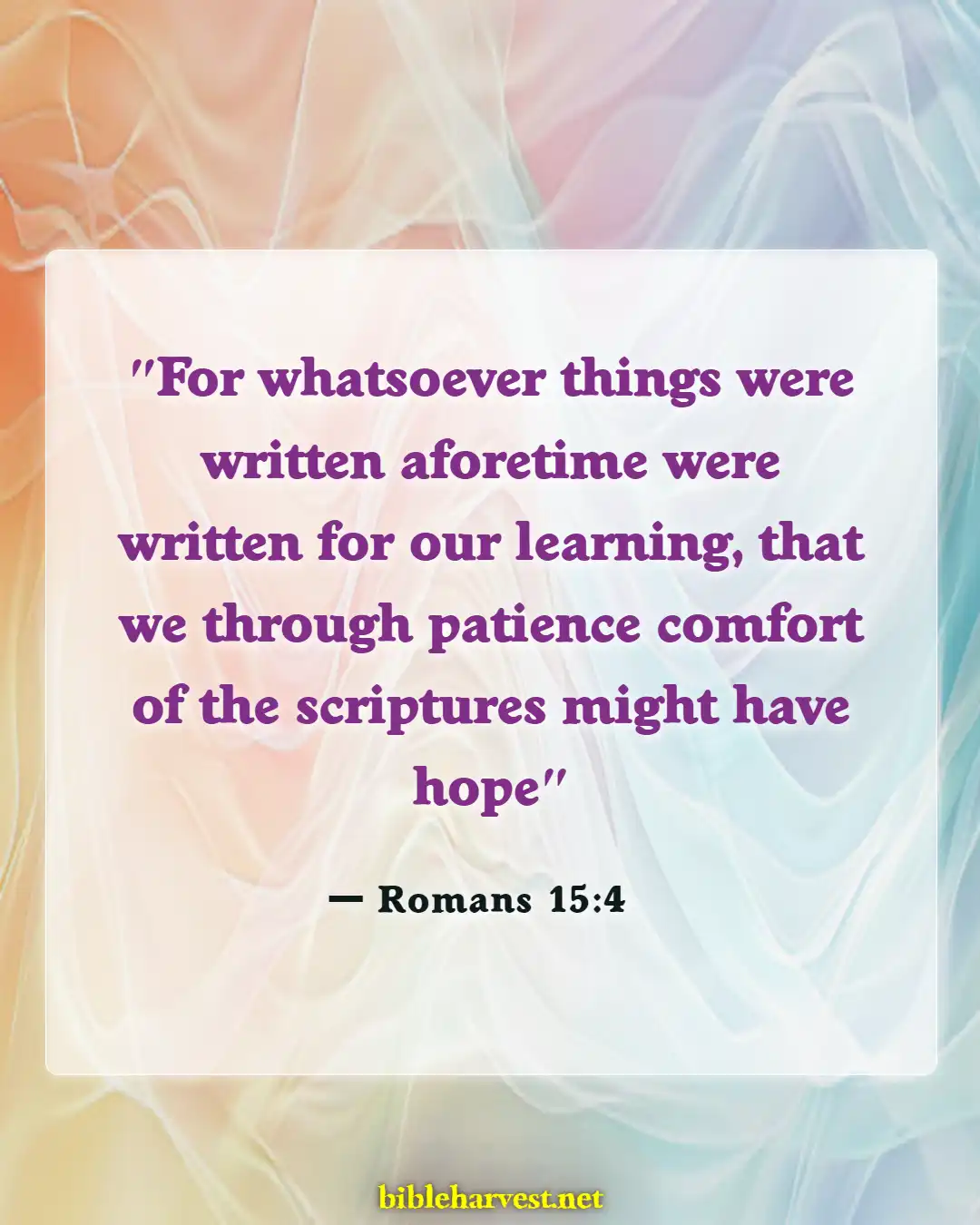 Bible Verses About Never Giving Up (Romans 15:4)