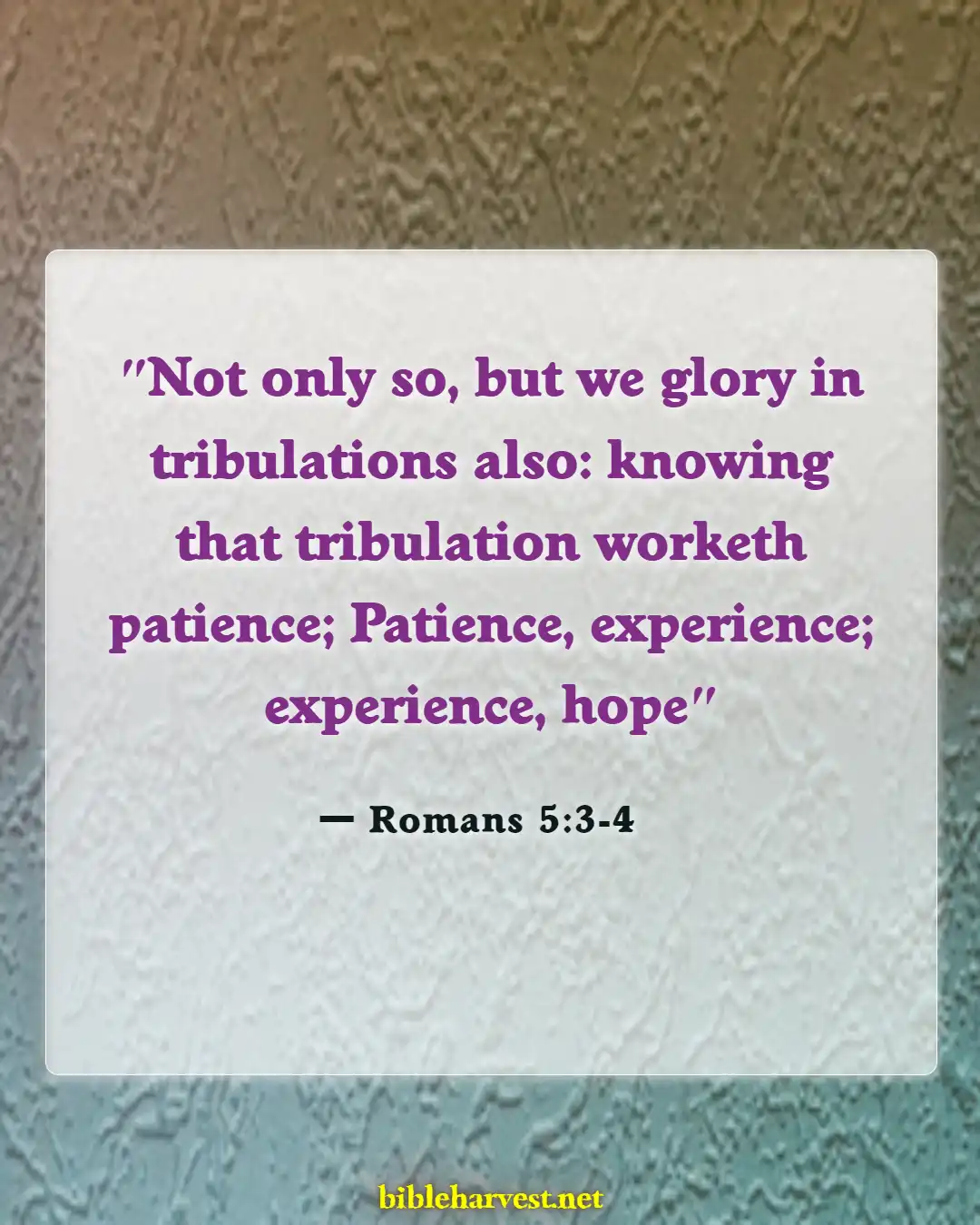 Bible Verses About Joy (Romans 5:3-4)