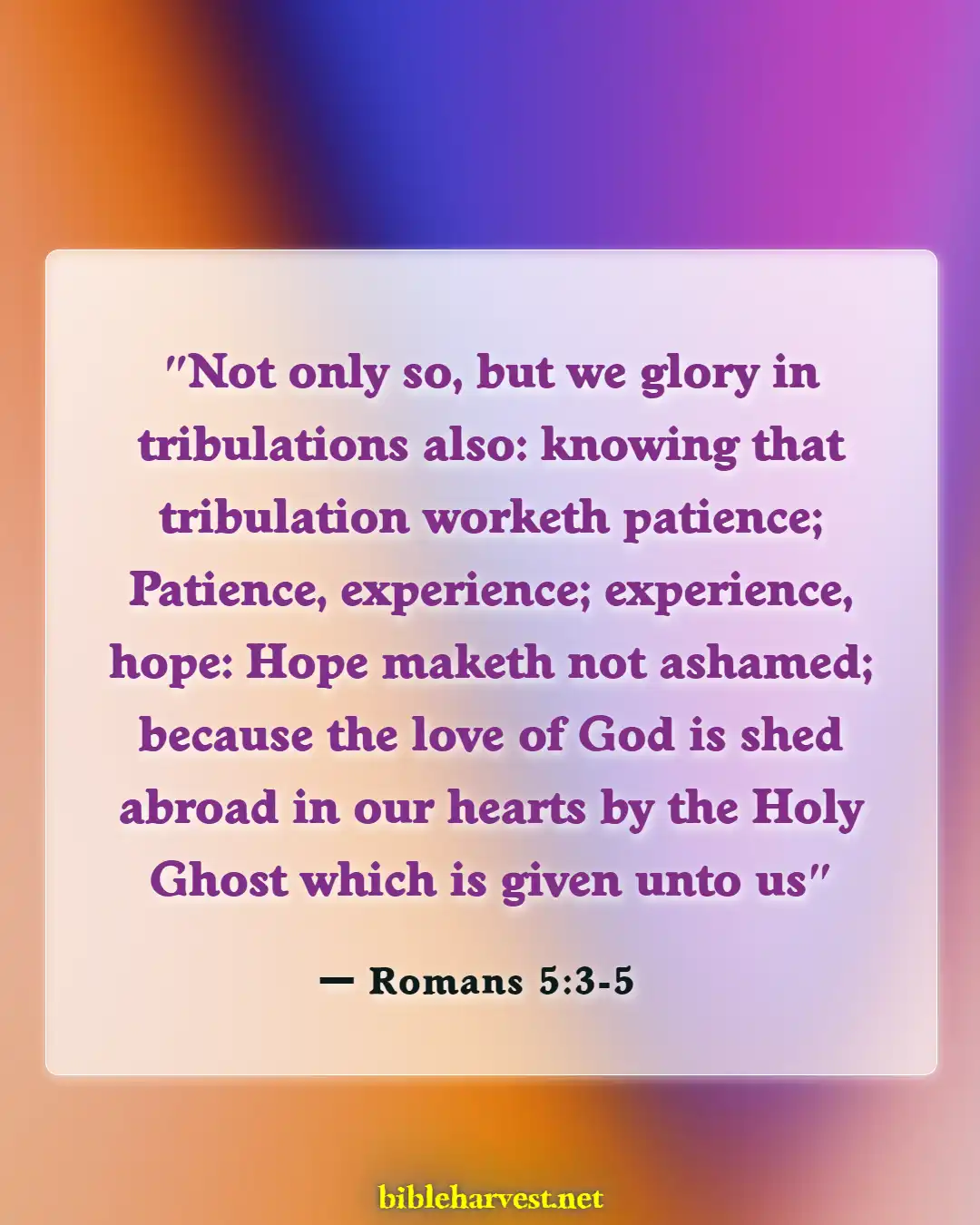 Bible Verses About Thankful For Trials (Romans 5:3-5)