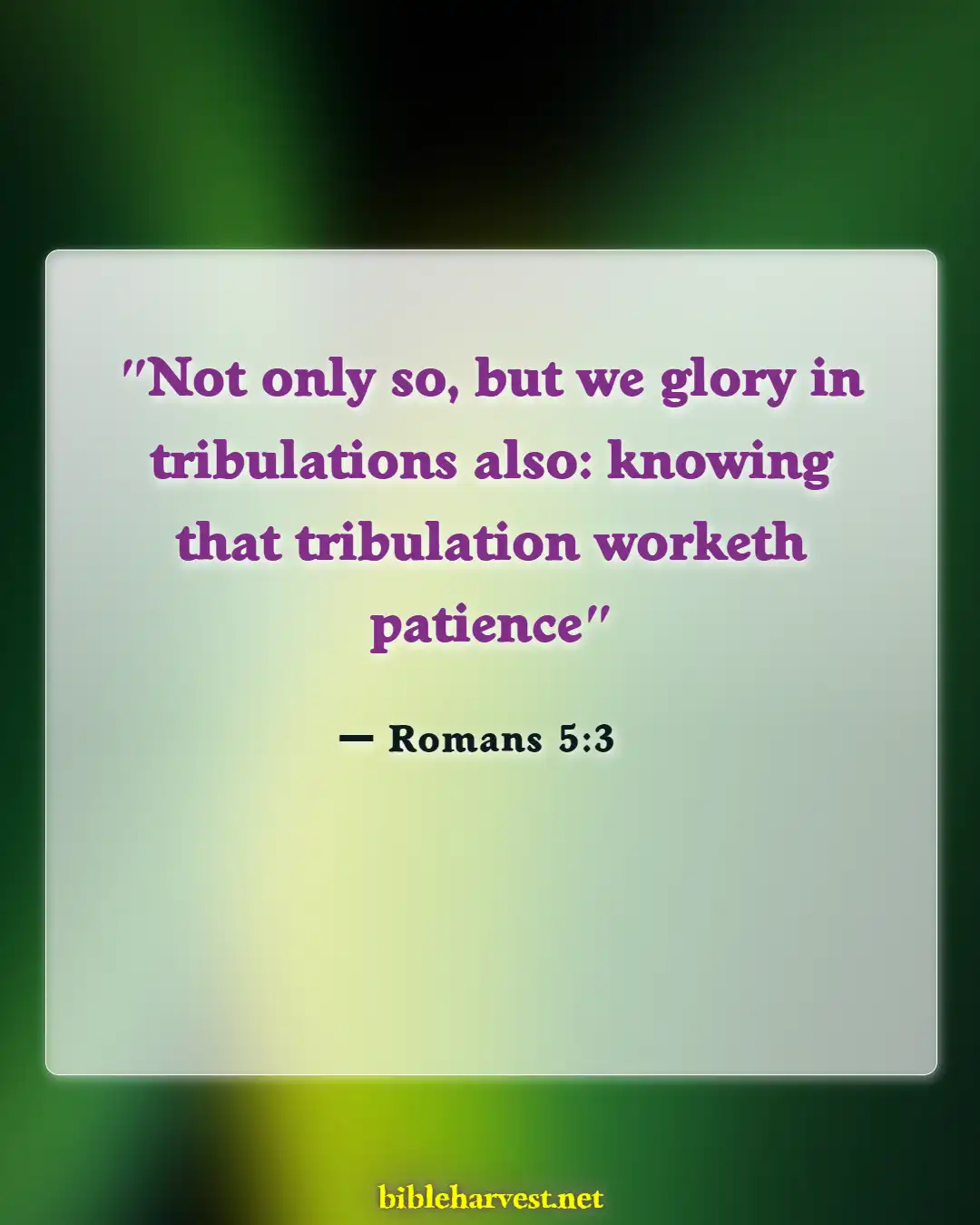 Bible Verses About Pain And Suffering (Romans 5:3)