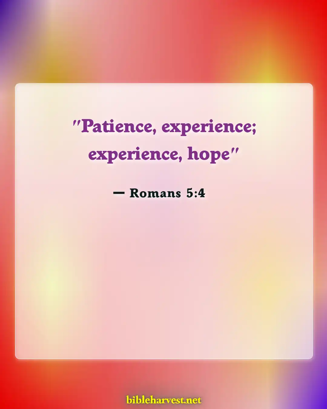 Bible Verses About Rejoice In Trials And Tribulations (Romans 5:4)