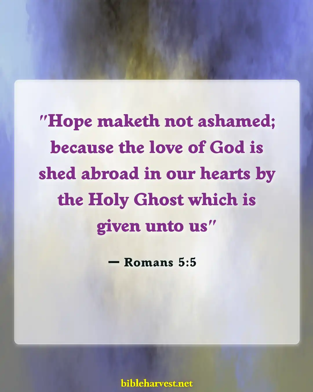 Bible Verses About Hope (Romans 5:5)
