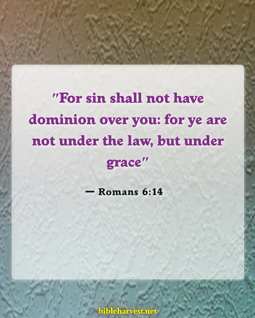 Bible Verses About Curses And Blessings (Romans 6:14)