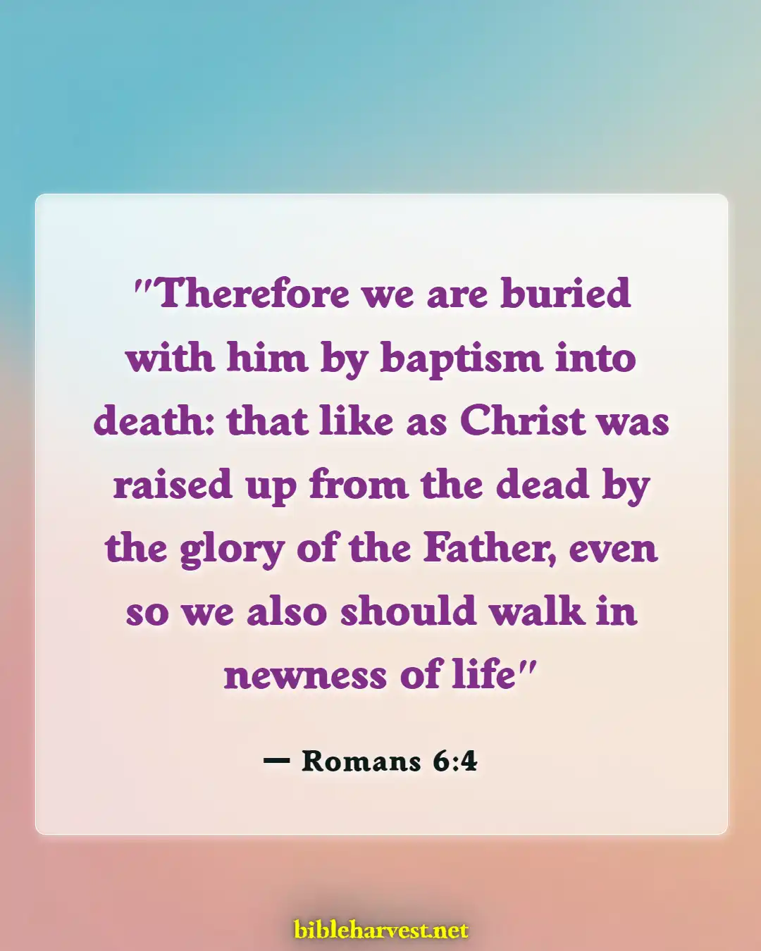 Bible Verses About Baby Dedication (Romans 6:4)