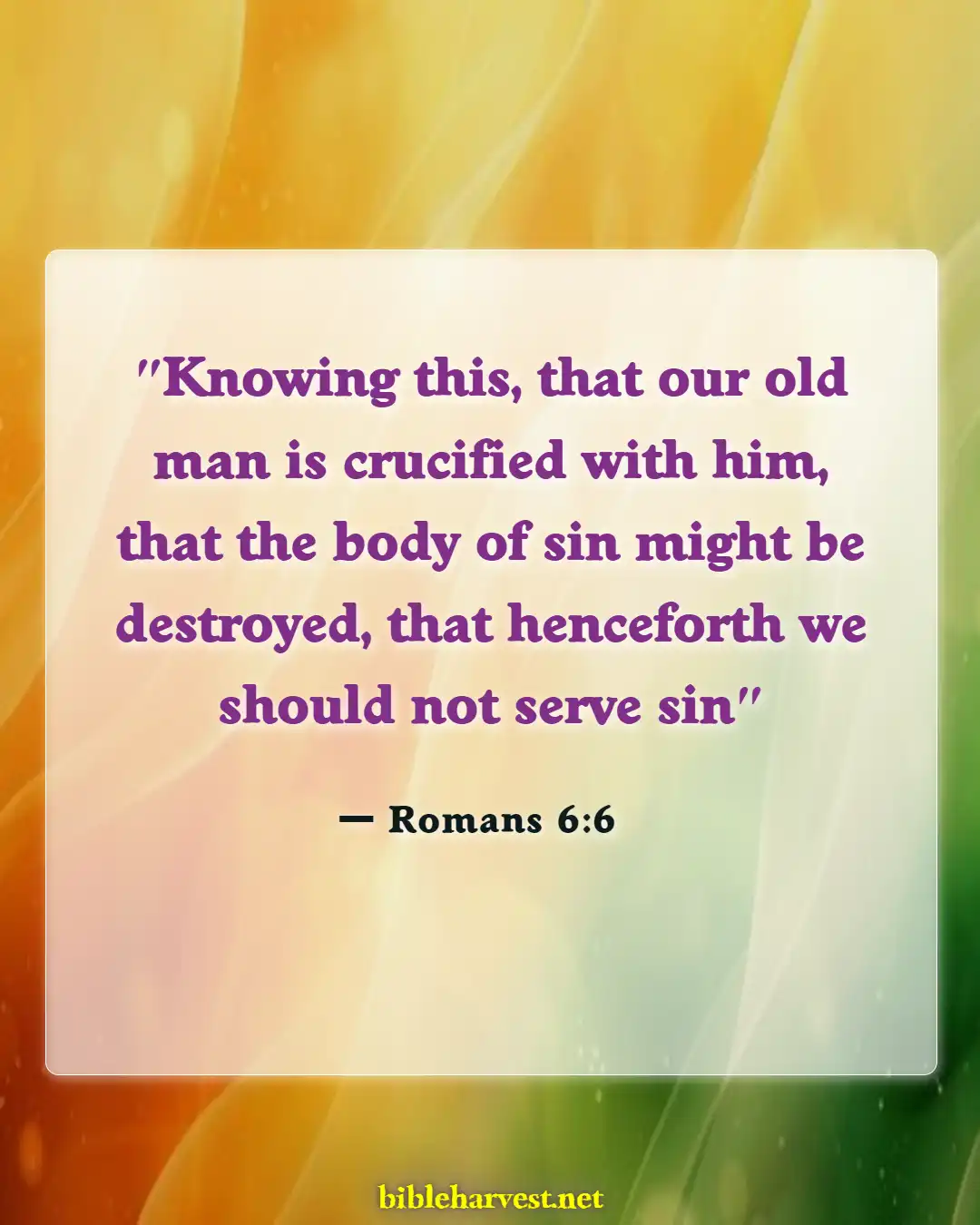 Bible Verses About Cross (Romans 6:6)