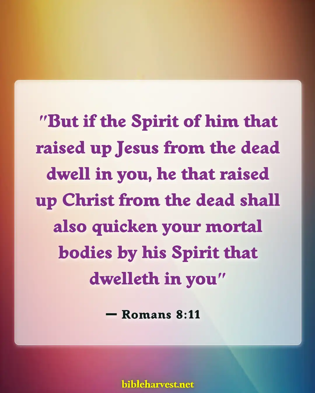 Bible Verses About Celebrating Life After Death (Romans 8:11)