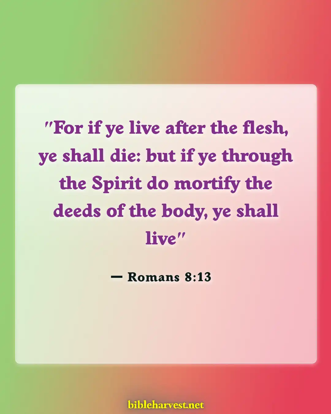 Bible Verses About Sanctification (Romans 8:13)