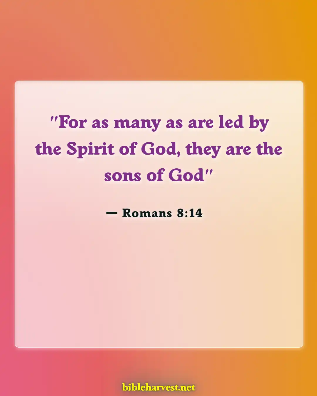 Bible Verses About Blessed Are The Peacemakers (Romans 8:14)