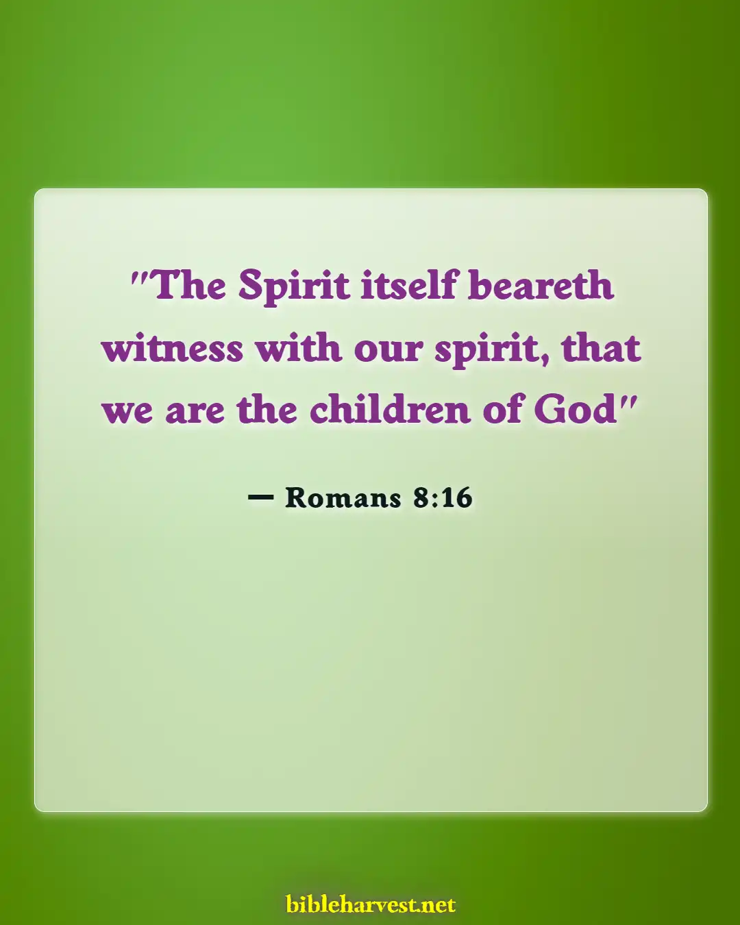 Bible Verses About Assurance Of Salvation (Romans 8:16)