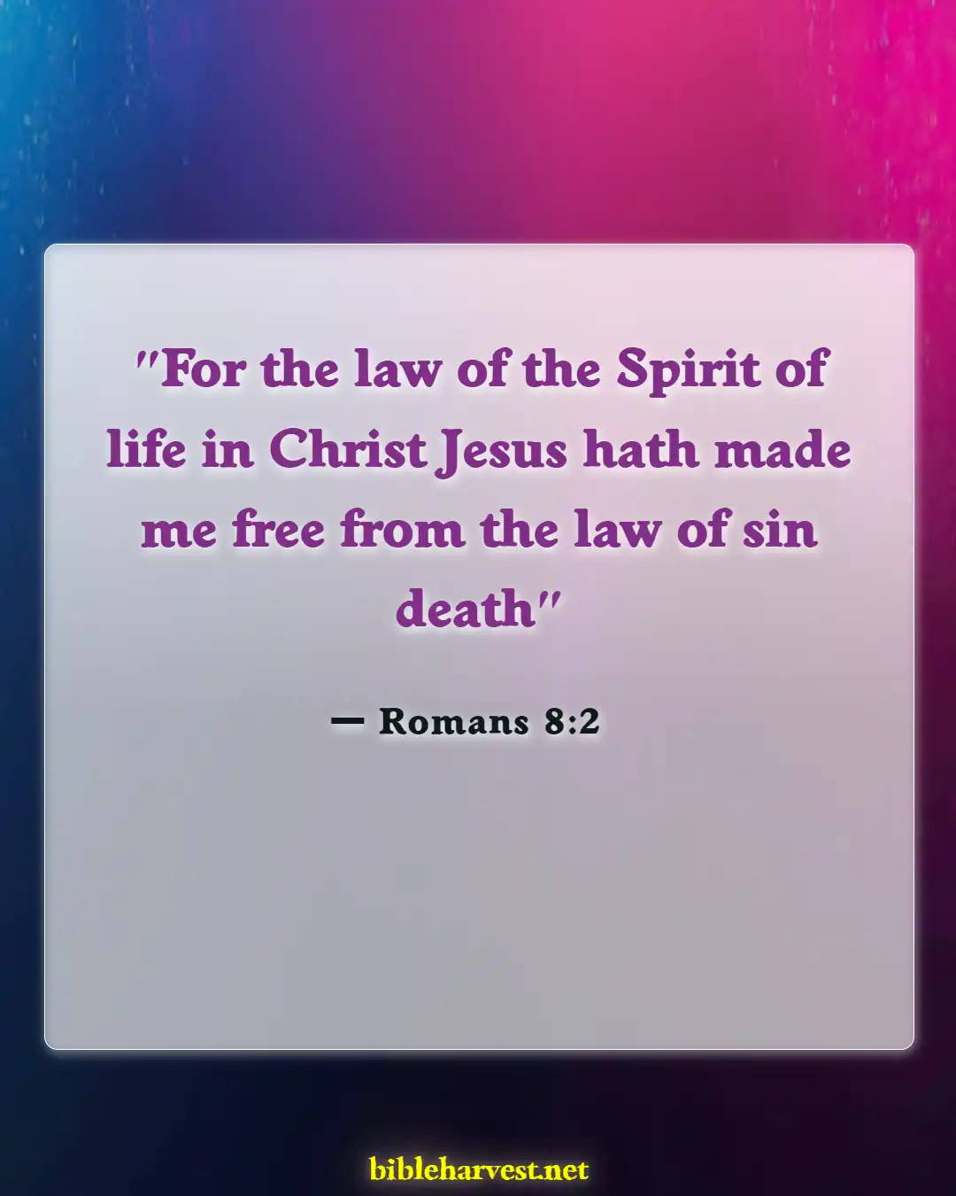 Bible Verses About Addiction Recovery (Romans 8:2)