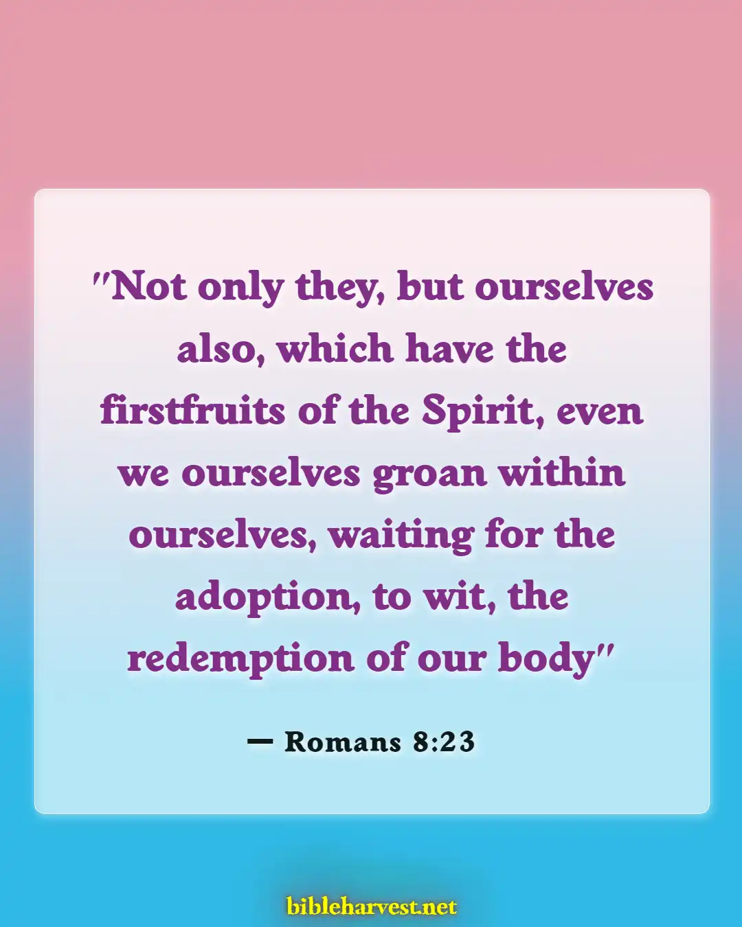 Bible Verses About Adoption (Romans 8:23)