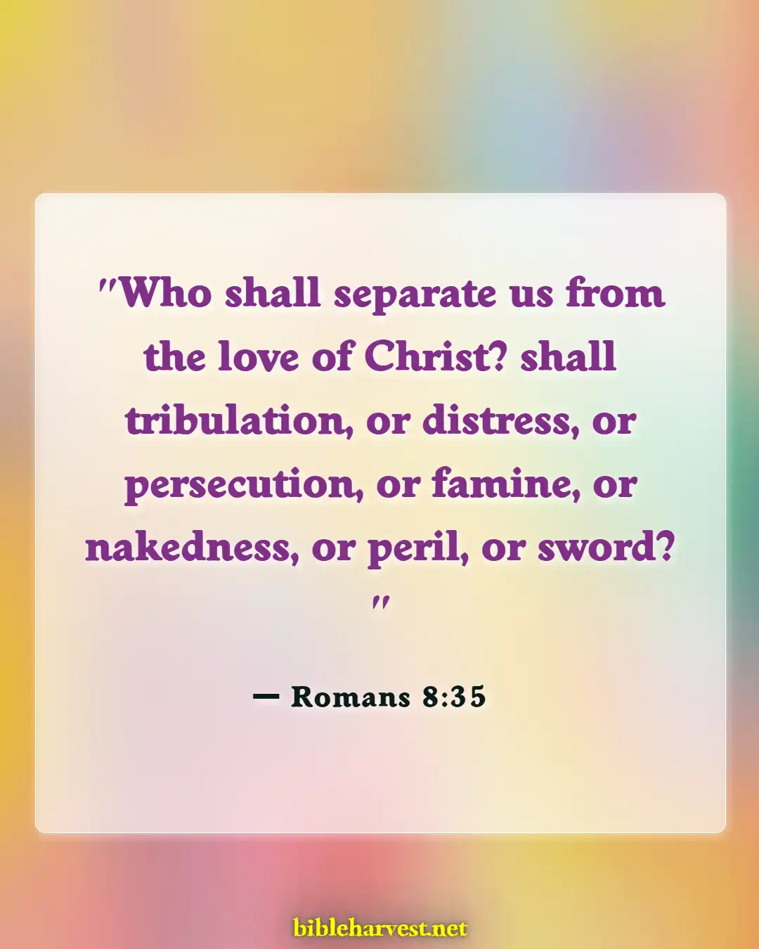 Bible Verses About Persecution (Romans 8:35)