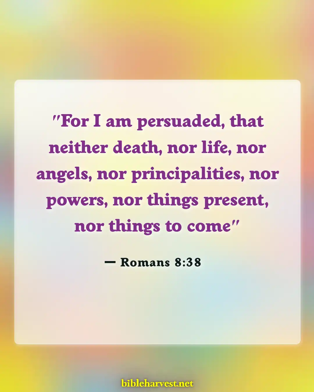 Bible Verses About Reunited With Loved Ones In Heaven (Romans 8:38)