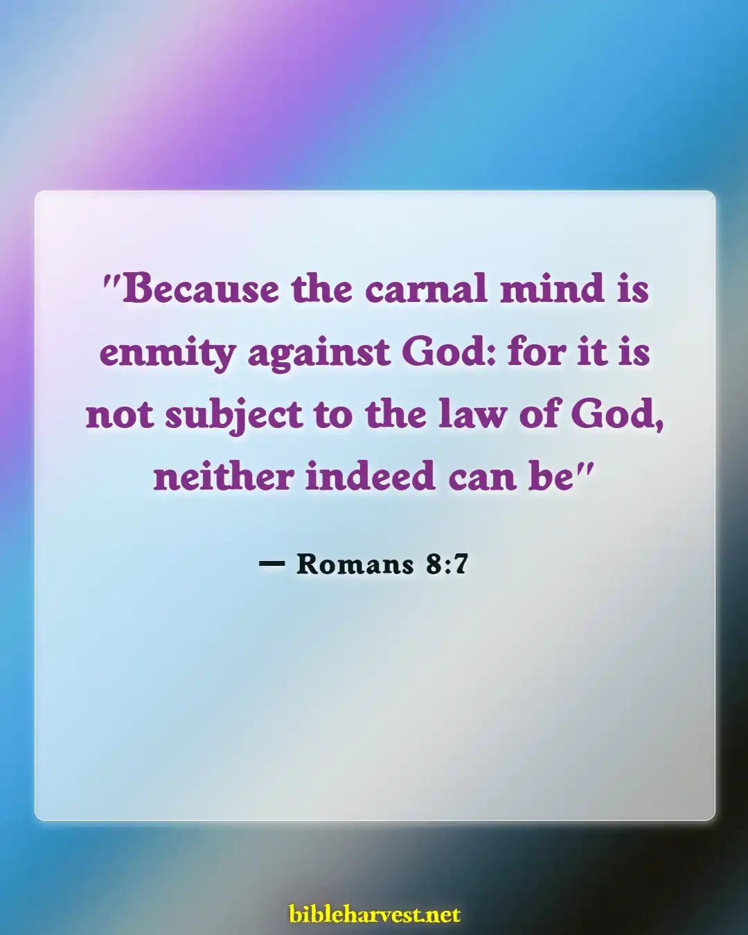 Bible Verses About Division (Romans 8:7)