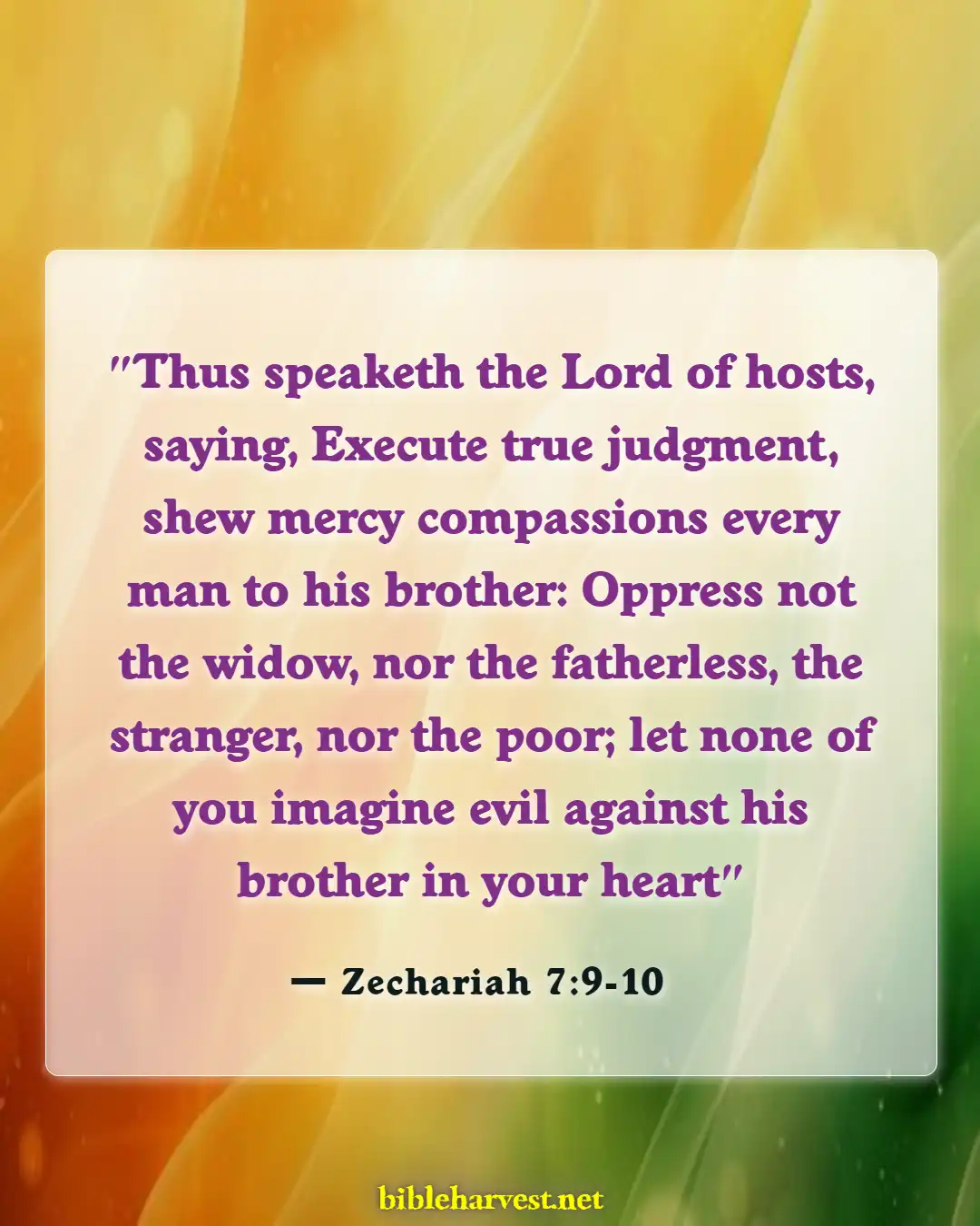 Bible Verses About Fairness And Equality (Zechariah 7:9-10)