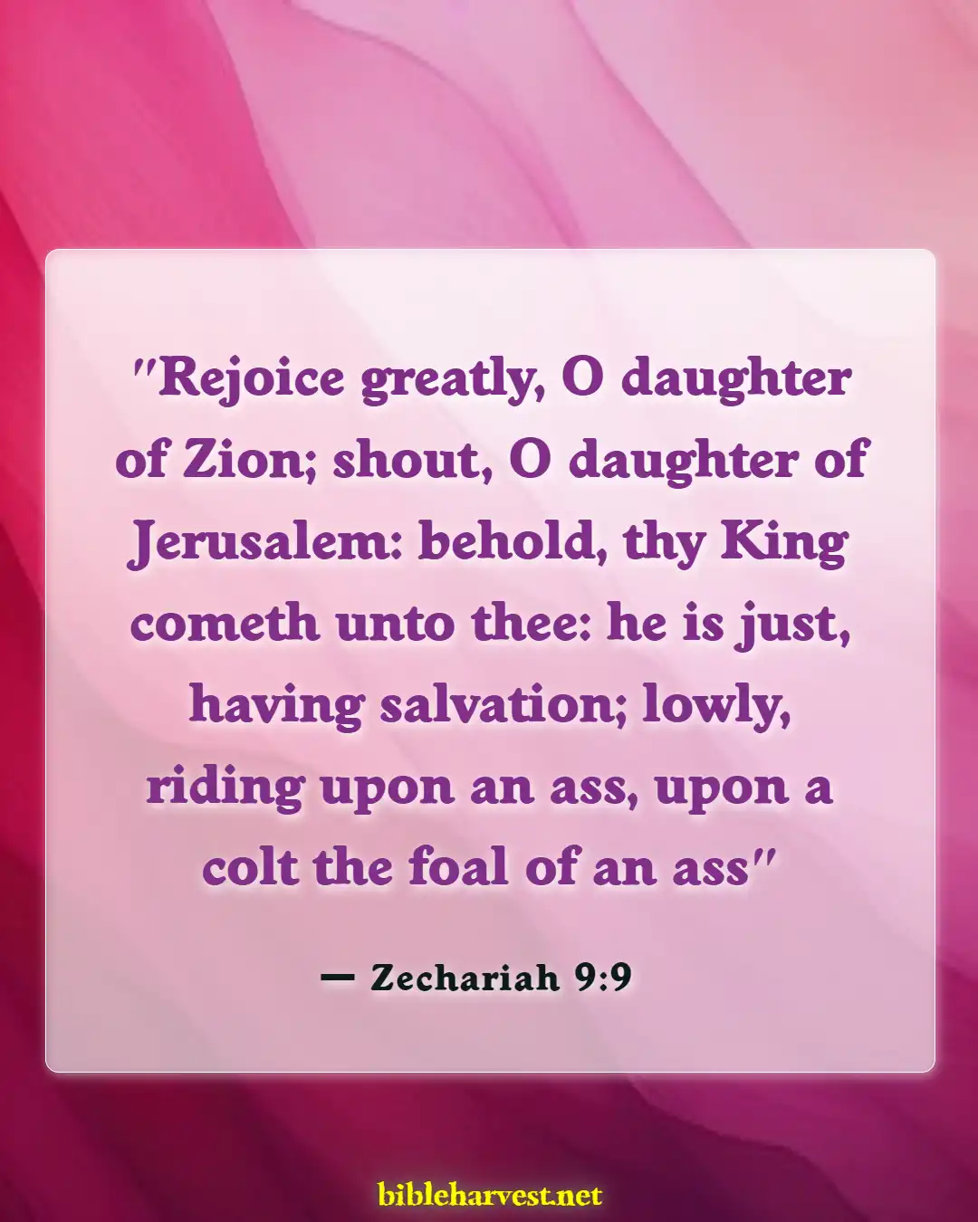 Bible Verses About Powerful Prophetics (Zechariah 9:9)
