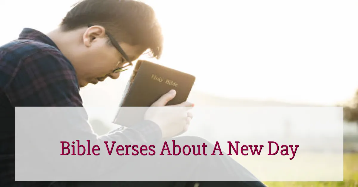 Bible Verses About A New Day