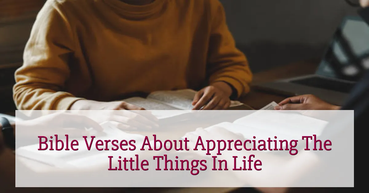 Bible Verses About Appreciating The Little Things In Life